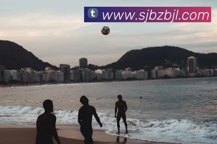 百家乐网站发展历程